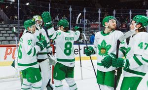 Here's where the Marlies stand with one month left on the schedule
