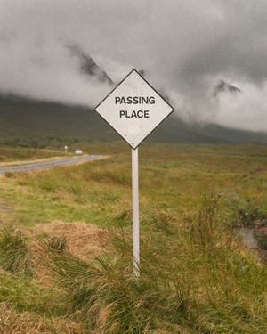 Maple Leafs sign Dakota Mermis