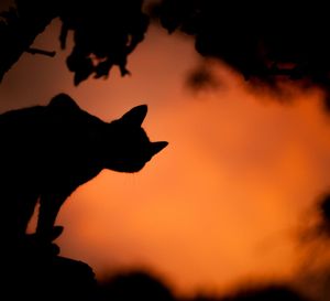 PPP After Dark: Friday night is here