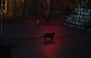 PPP After Dark: Let's watch other teams lose together