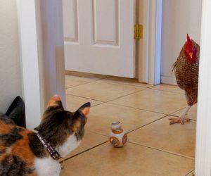 PPP After Dark: Round 2. Fight!