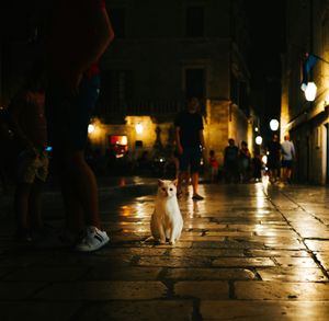 PPP After Dark: Only one game, not two edition.