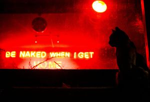 PPP After Dark: The fault is not in our Stars, but in our Avalanche