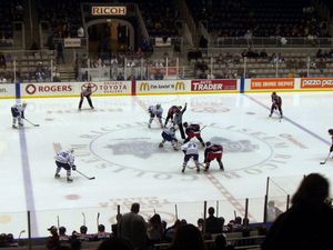 Maple Leafs Prospect Report: The Toronto Marlies