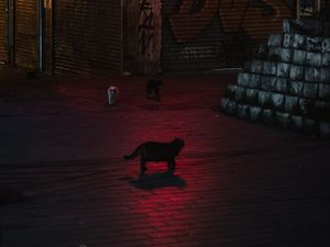 PPP After Dark: Late night activities