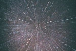 Maple Leafs Prospect Report: March 3rd News and Stars