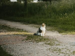 Wednesday's FTB: Finding a way out of the wilderness