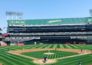 Ways of Thinking: When Affect and Effect collide