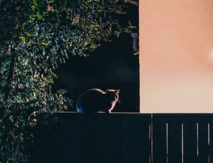 PPP After Dark: Marlies game #2 and Stanley Cup Playoffs