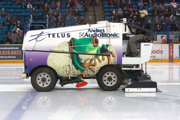 Maple Leafs Prospect Report: Minten, Voit, and Lisowsky