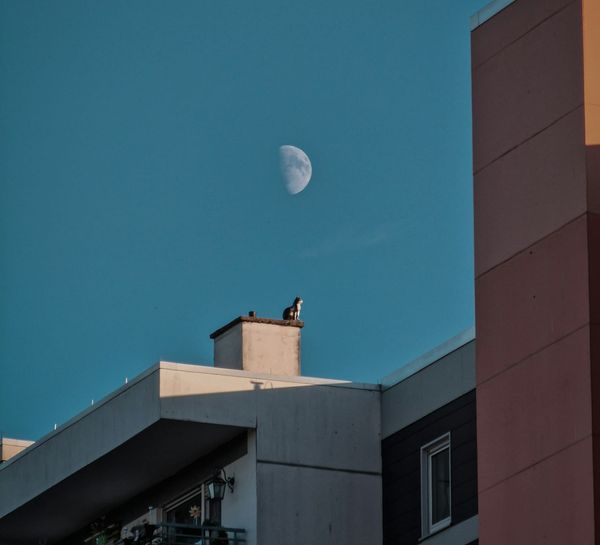 PPP After Dark: Thursday edition