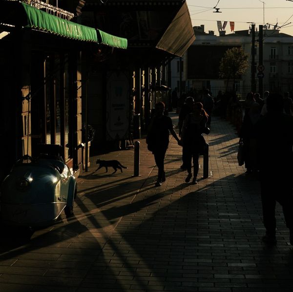 PPP After Dark: Calm before the storm edition