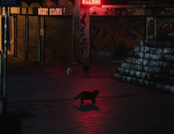 PPP After Dark: Sunday night chat