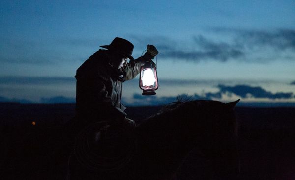 PPP After Dark: Cowboy edition