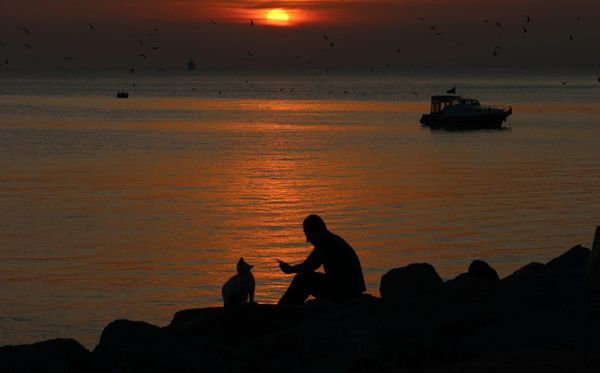 PPP After Dark: It's finally going to be over edition