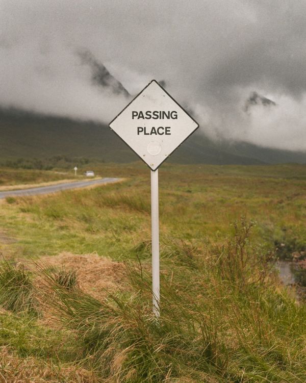 Maple Leafs sign Dakota Mermis