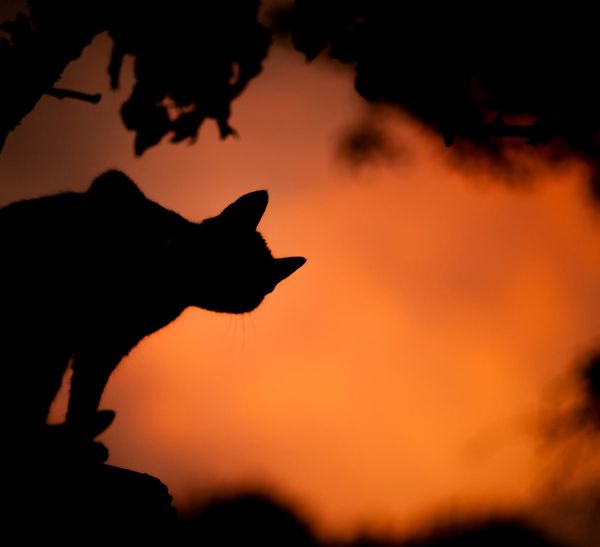 PPP After Dark: Friday night is here