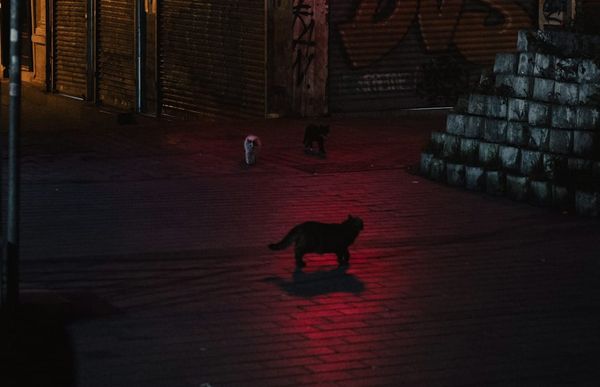 PPP After Dark: Let's watch other teams lose together