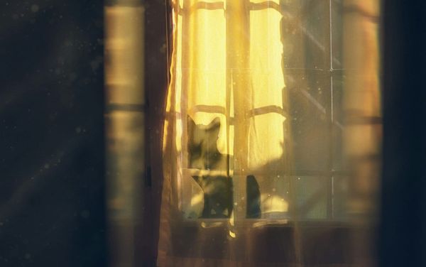 PPP After Dark: It's still daylight edition