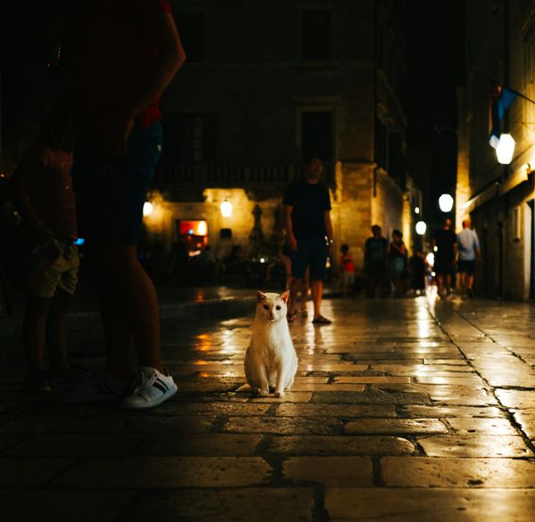 PPP After Dark: Only one game, not two edition.