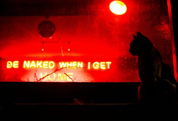 PPP After Dark: The fault is not in our Stars, but in our Avalanche