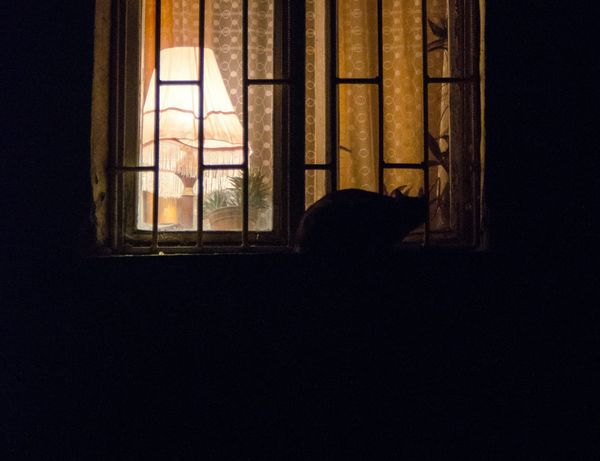 PPP After Dark: Still more hockey to watch