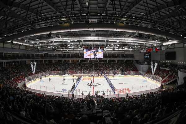 Maple Leafs Prospect Report: Yaroslav Fedoseyev