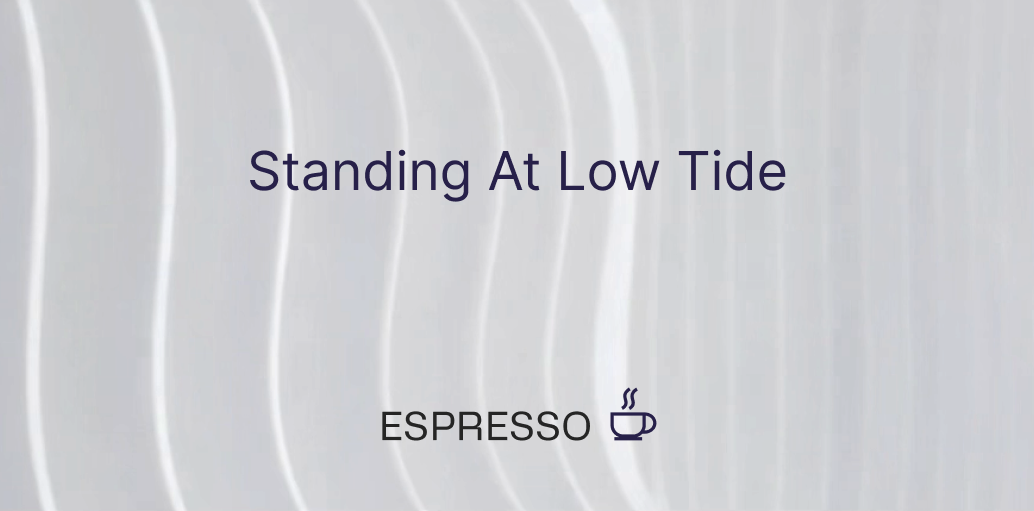 Standing At Low Tide