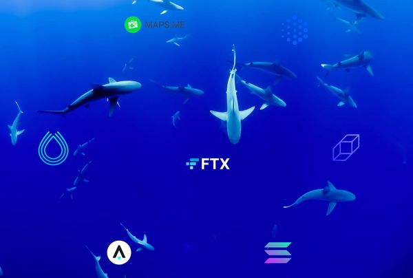 Swimming Among Sharks