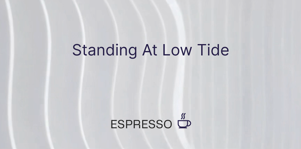 Standing At Low Tide