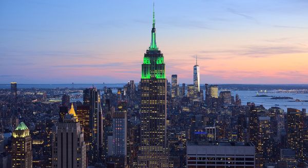 How we can implement the New York Tropical Deforestation-Free Procurement Act