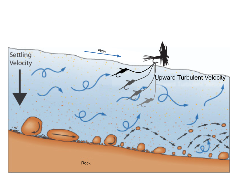 Visualizing the Effects of upward Turbulence on a Dry Dropper Setup adapted from Huff, 2024