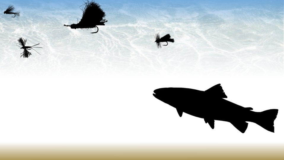 How to Attract Rising Trout with Attractor Flies
