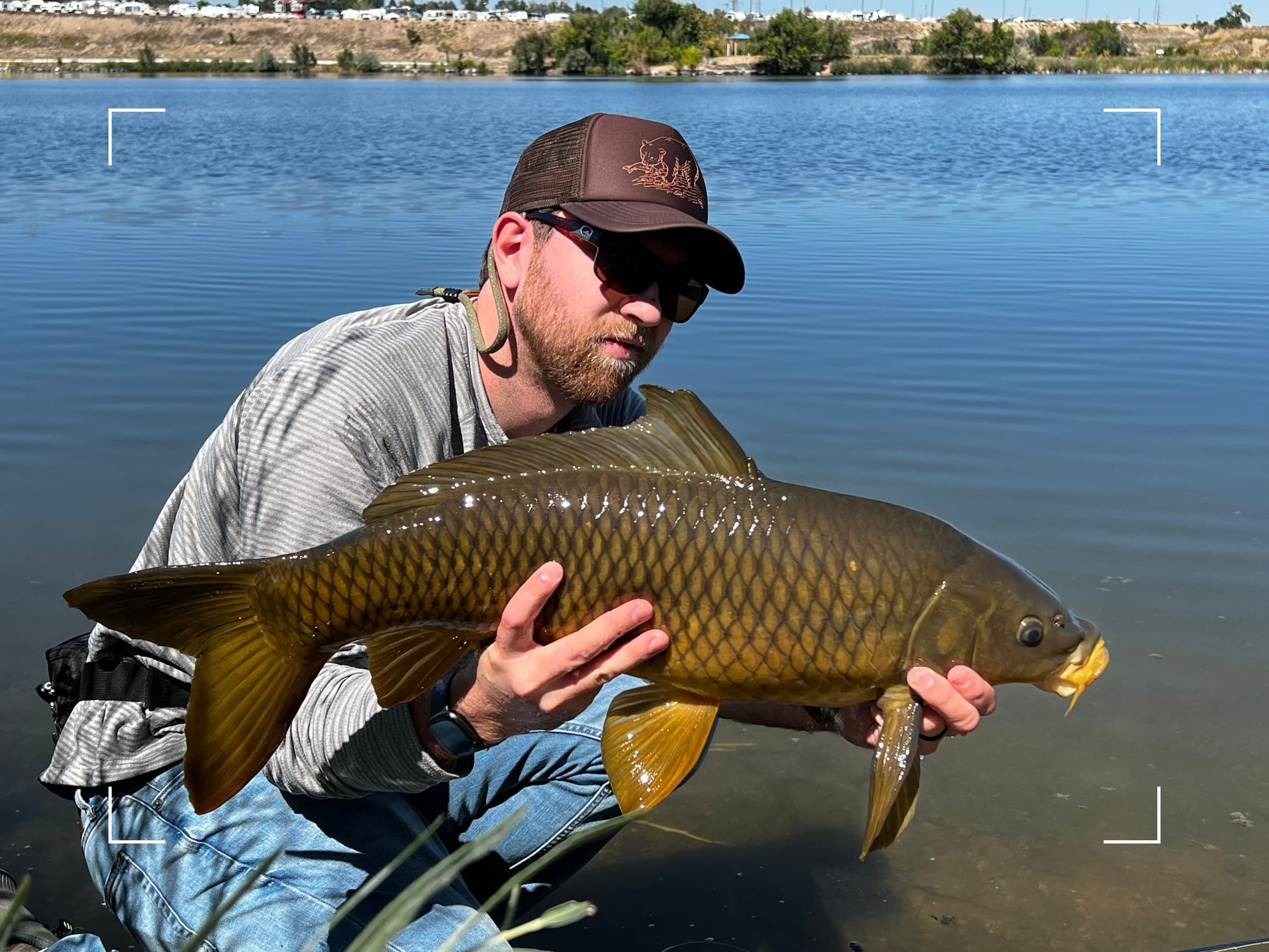 Fly fishing for urban Carp from Denver South Platte Corridor