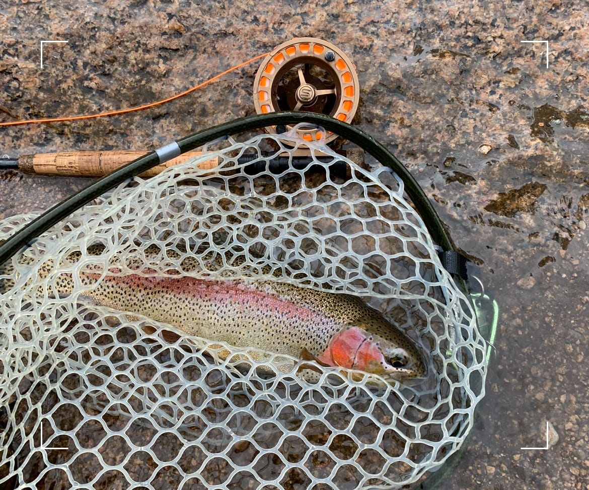 Fly fishing the Scenic Cheesman Canyon on the South Platte, Colorado