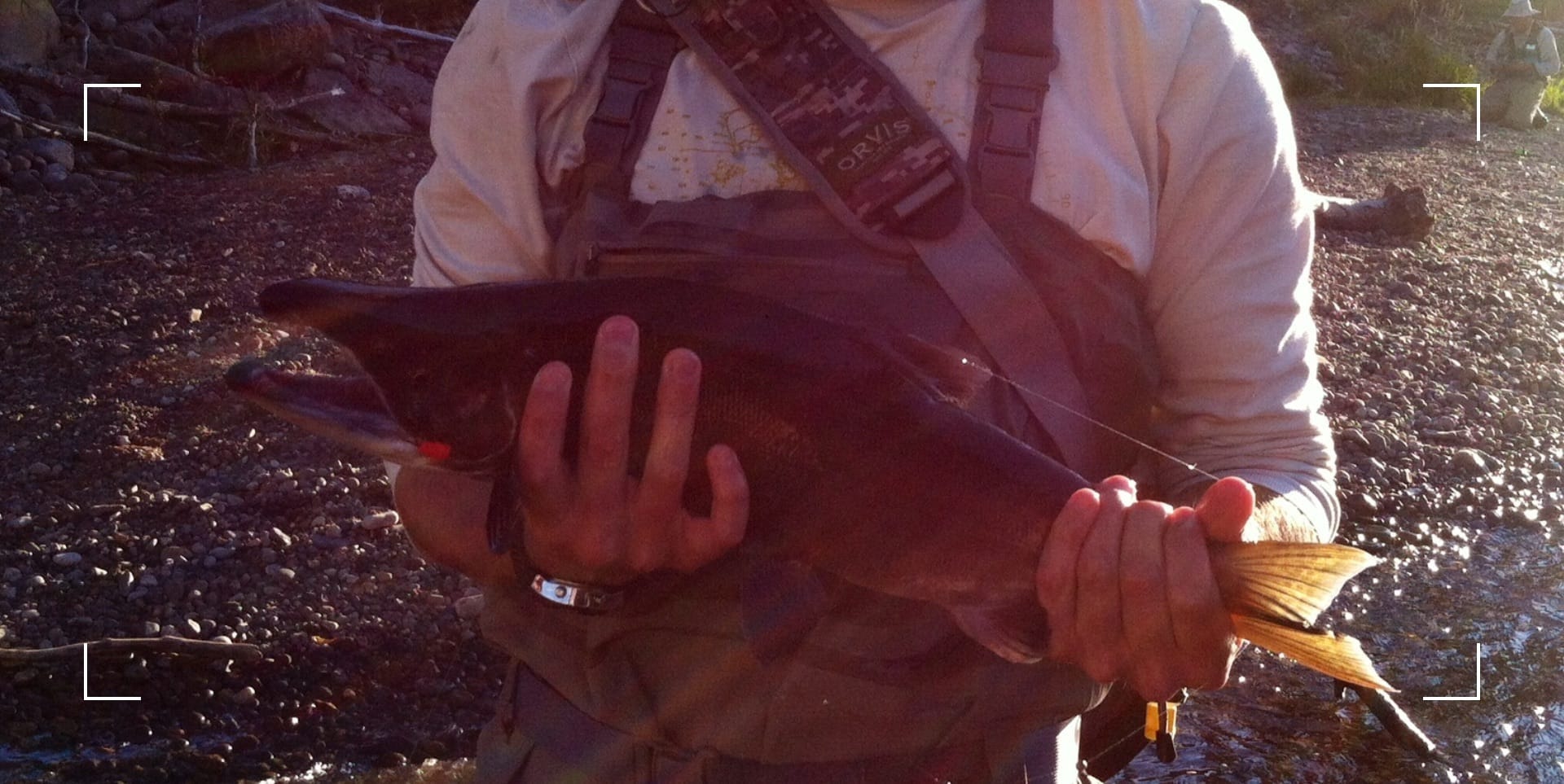 Fly fishing for Kokanee Salmon, Gunnison River, Colorado