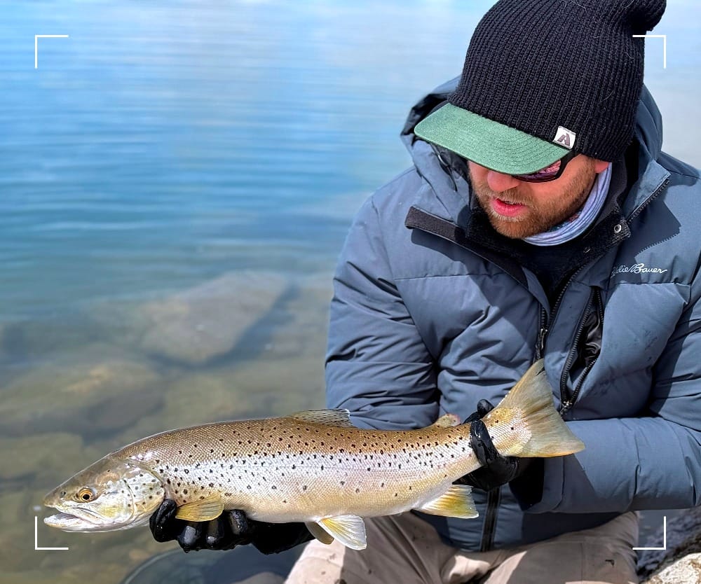 fly fishing for stillwater brown trout, Colorado, balanced leech