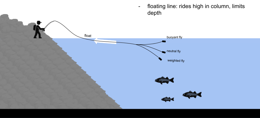 fly fishing with floating lines, stillwater fly fishing, warmwater fly fishing