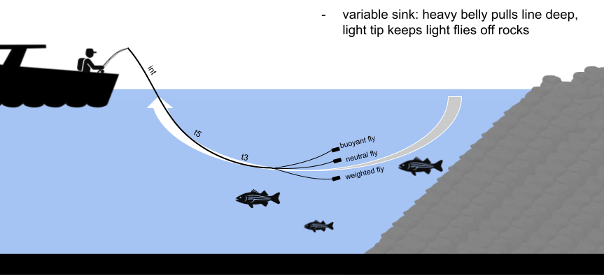 fly fishing with parabolic (sweep, seek) lines, stillwater and reservoir fly fishing, warmwater fly fishing