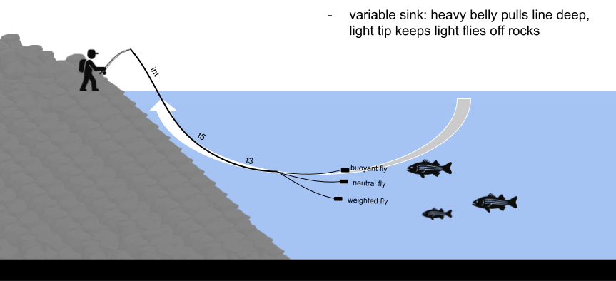 fly fishing with parabolic (sweep, seek) lines, stillwater and reservoir fly fishing, warmwater fly fishing