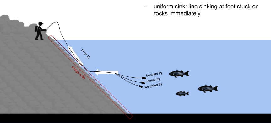 fly fishing with sinking lines, stillwater fly fishing, warmwater fly fishing