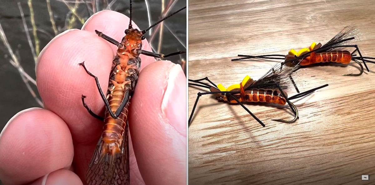 How to Tie a Realistic Salmonfly Dry Fly