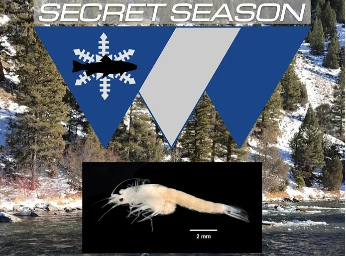 mysis tailwater fly fishing, mysis fly pattern