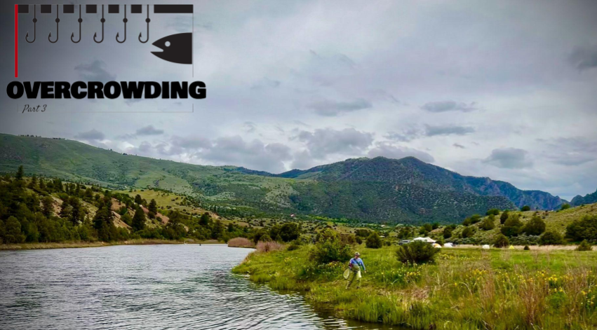 dealing with pressured rivers and overcrowding: iconic rivers are getting too pressured for fly fishing