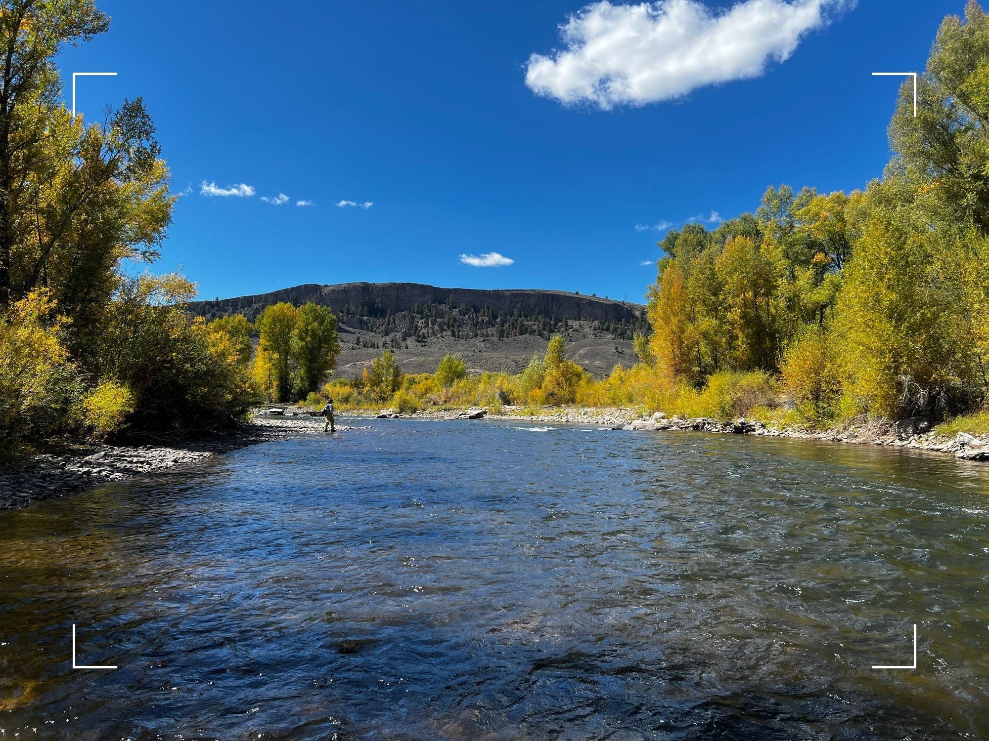 Wading and fly fishing the Gunnison River, Colorado, tactics for fly fishing rivers with low trout density
