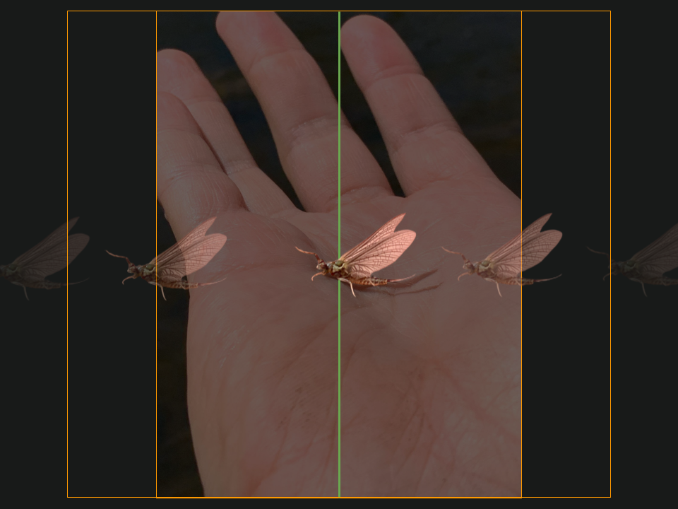 indicator nymphing, fly fishing, euro nymphing, stoneflies, caddisflies, mayflies, stonefly, caddisfly, mayfly, hatch, perdigon, copper john, zebra midge, split shot, tailwater, freestone