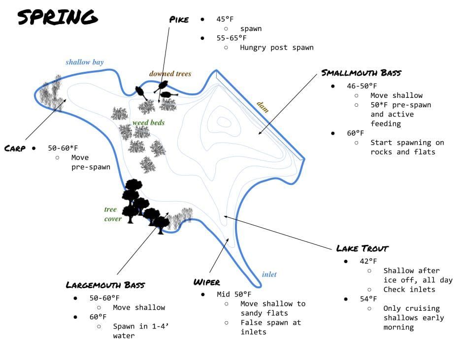 Spring Warmwater Primer
