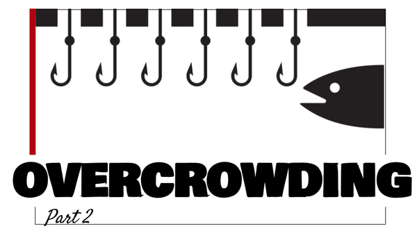 dealing with pressured rivers and overcrowding: over-reliance on fly fishing for stocked trout, rainbow trout from hatcheries