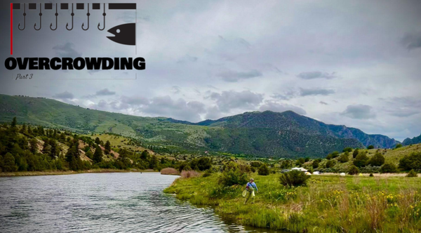 dealing with pressured rivers and overcrowding: iconic rivers are getting too pressured for fly fishing