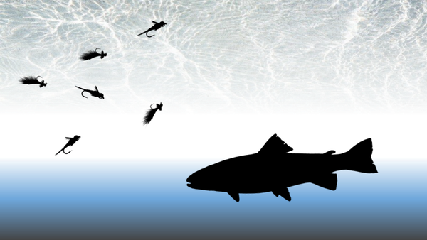 Nymphing with heavy flies or splitshot to get a trout's attention, ESN, indicator nymphing, fly fishing